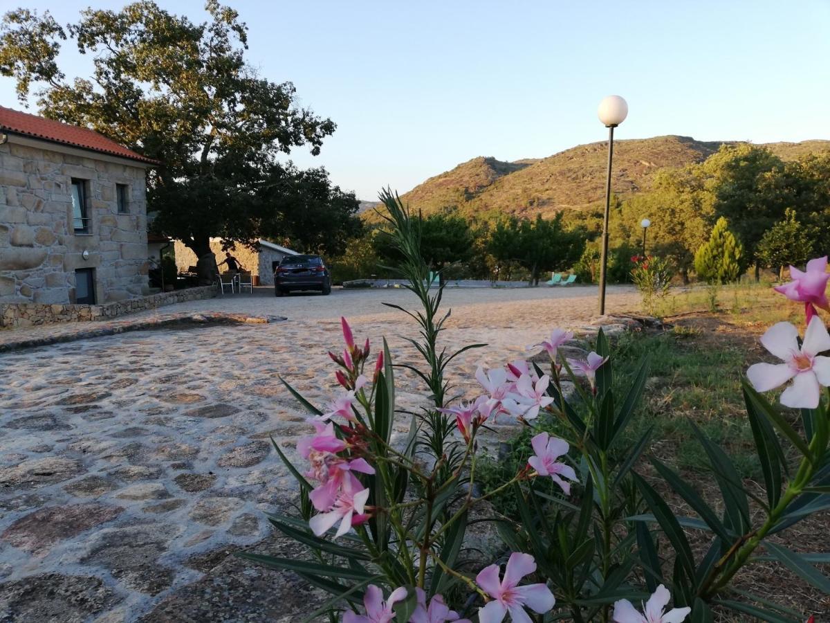 Quinta Dos Carvalhais - Serra Da Estrela Villa Fornos de Algodres Exterior photo