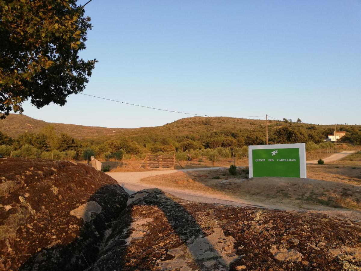 Quinta Dos Carvalhais - Serra Da Estrela Villa Fornos de Algodres Exterior photo