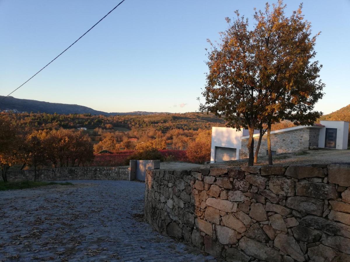 Quinta Dos Carvalhais - Serra Da Estrela Villa Fornos de Algodres Exterior photo