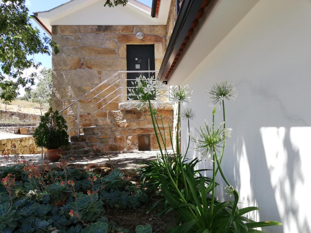 Quinta Dos Carvalhais - Serra Da Estrela Fornos de Algodres Exterior photo