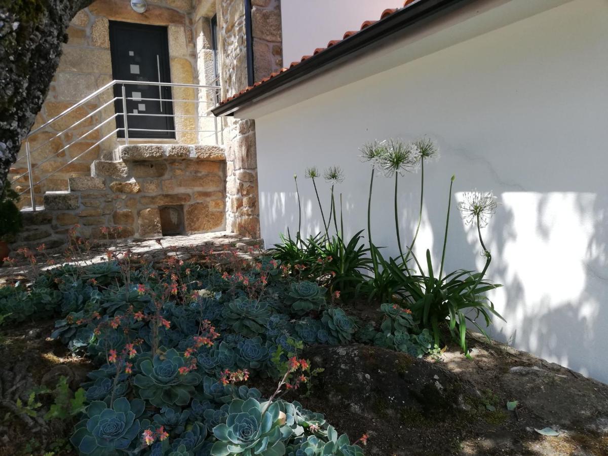 Quinta Dos Carvalhais - Serra Da Estrela Fornos de Algodres Exterior photo
