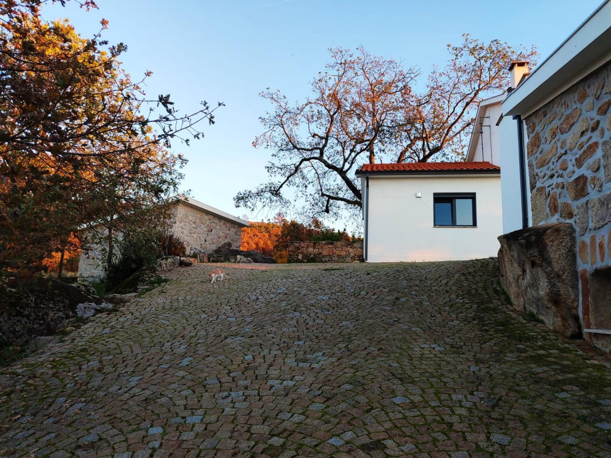 Quinta Dos Carvalhais - Serra Da Estrela Villa Fornos de Algodres Exterior photo