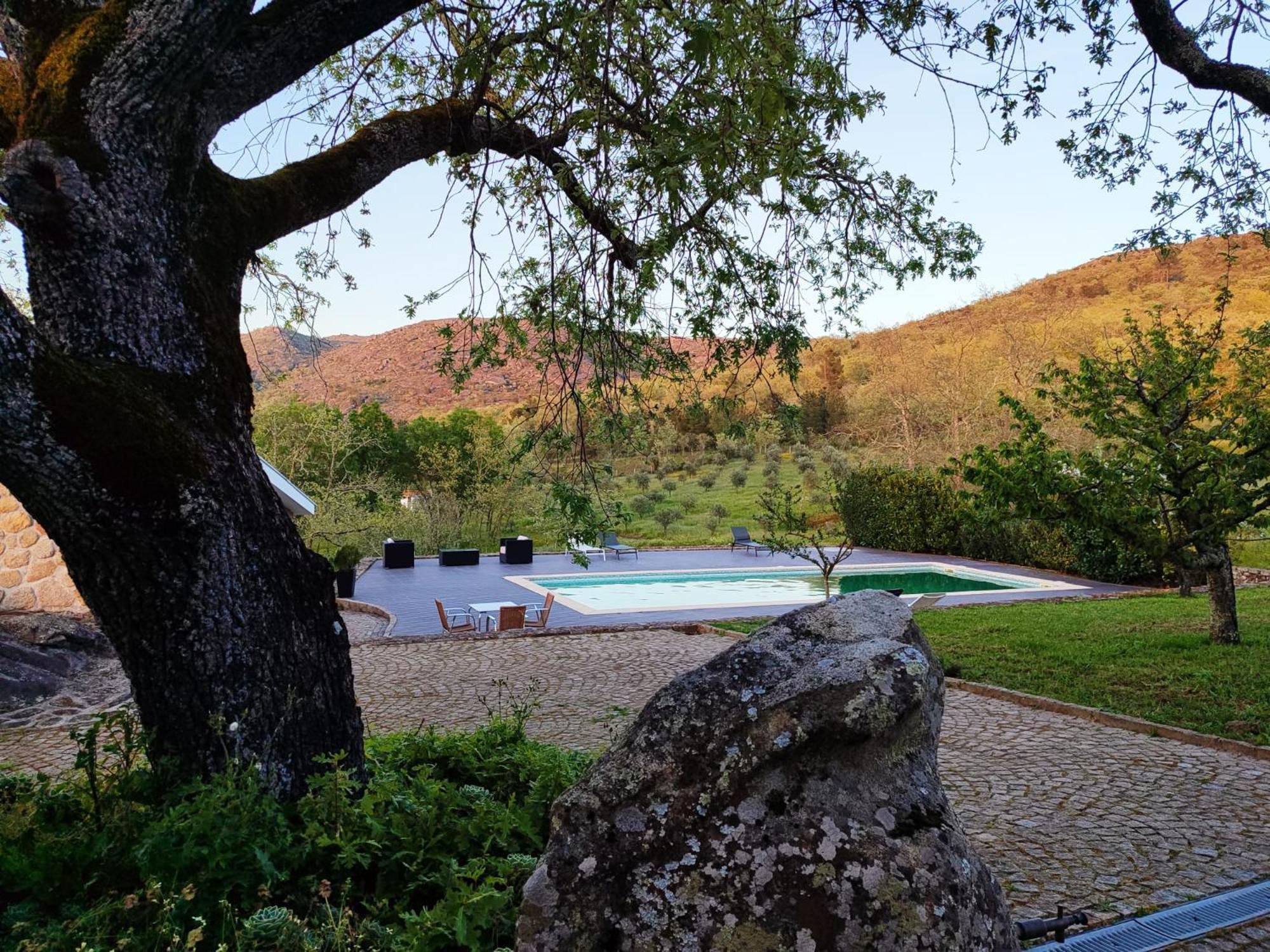 Quinta Dos Carvalhais - Serra Da Estrela Fornos de Algodres Exterior photo