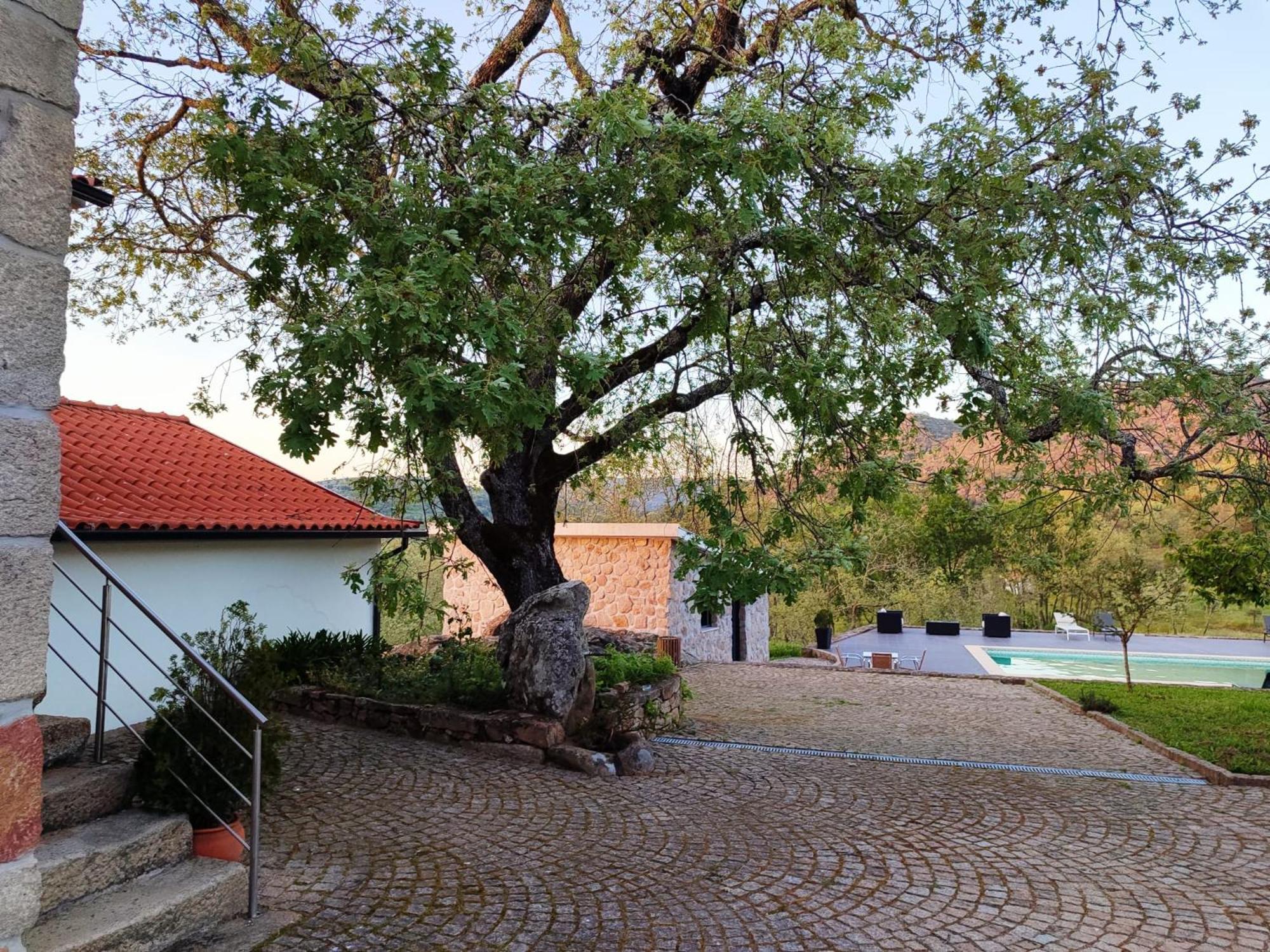 Quinta Dos Carvalhais - Serra Da Estrela Villa Fornos de Algodres Exterior photo